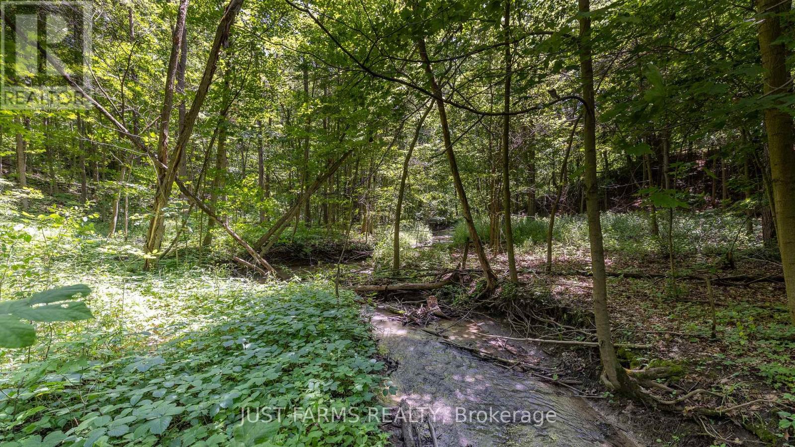 1052 Longwoods Road, Southwest Middlesex, Ontario  N0L 1Z0 - Photo 15 - X12241486