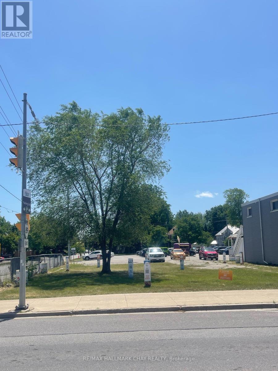 47 Victoria Street E, New Tecumseth, Ontario  L9R 1T1 - Photo 4 - N12241525