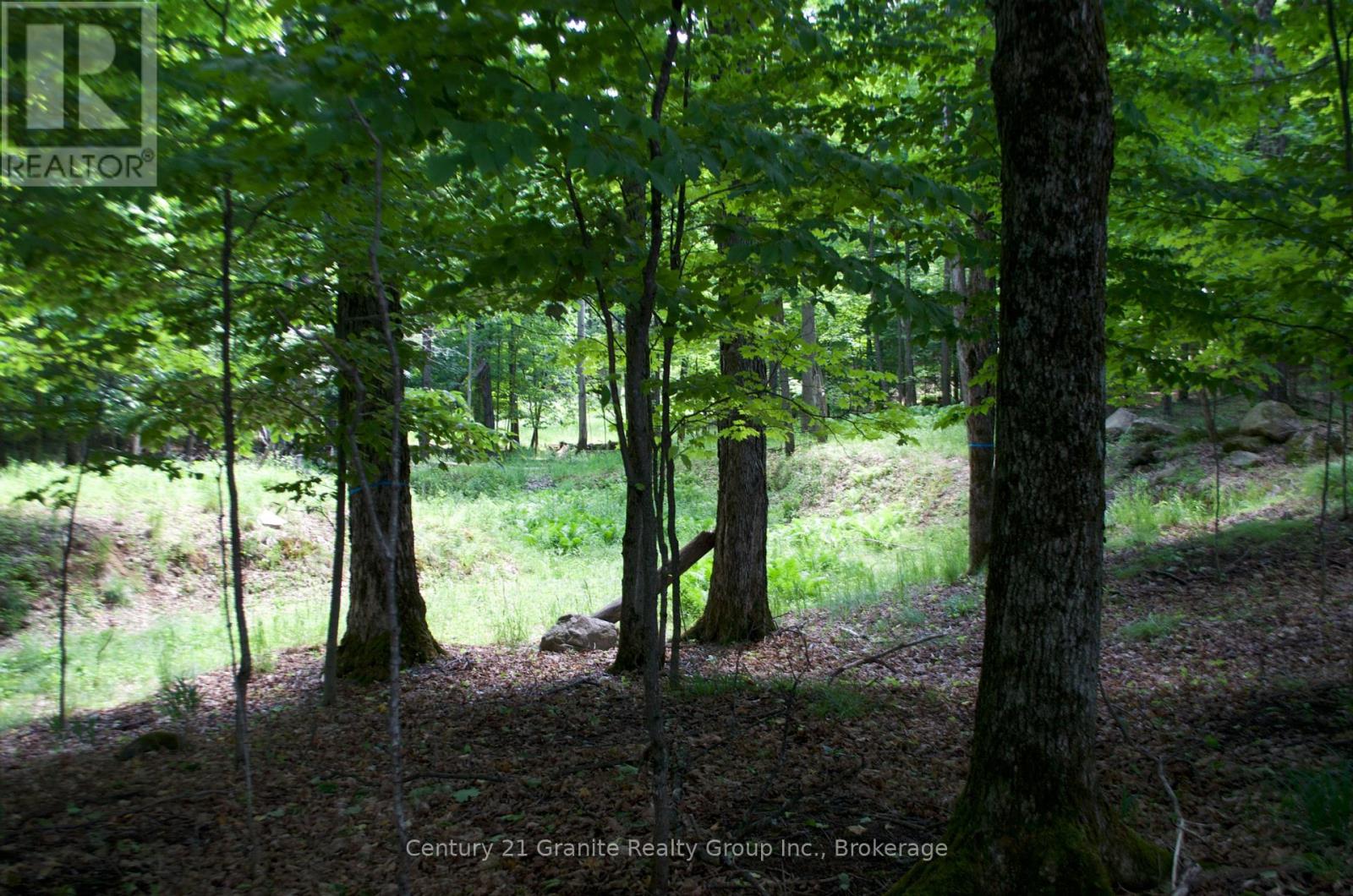 Lot 7 Ridgeview Road, Dysart Et Al, Ontario  K0M 1S0 - Photo 10 - X12241651