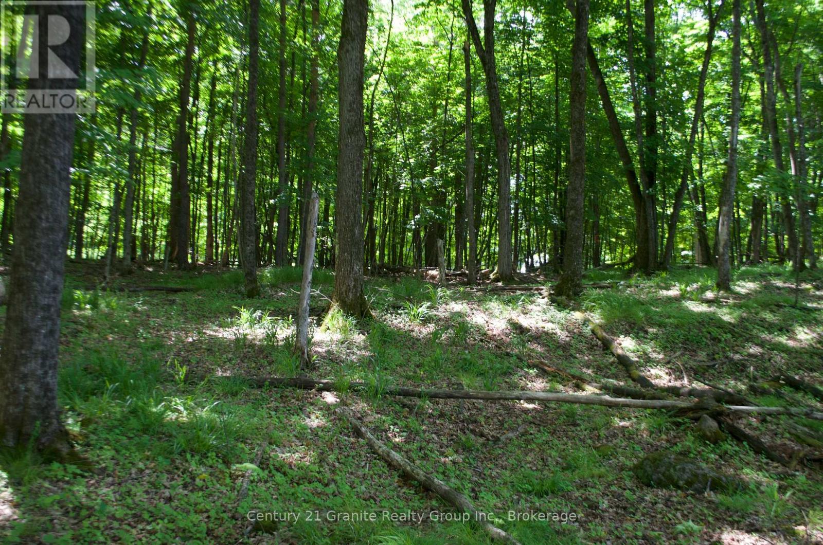 Lot 7 Ridgeview Road, Dysart Et Al, Ontario  K0M 1S0 - Photo 11 - X12241651