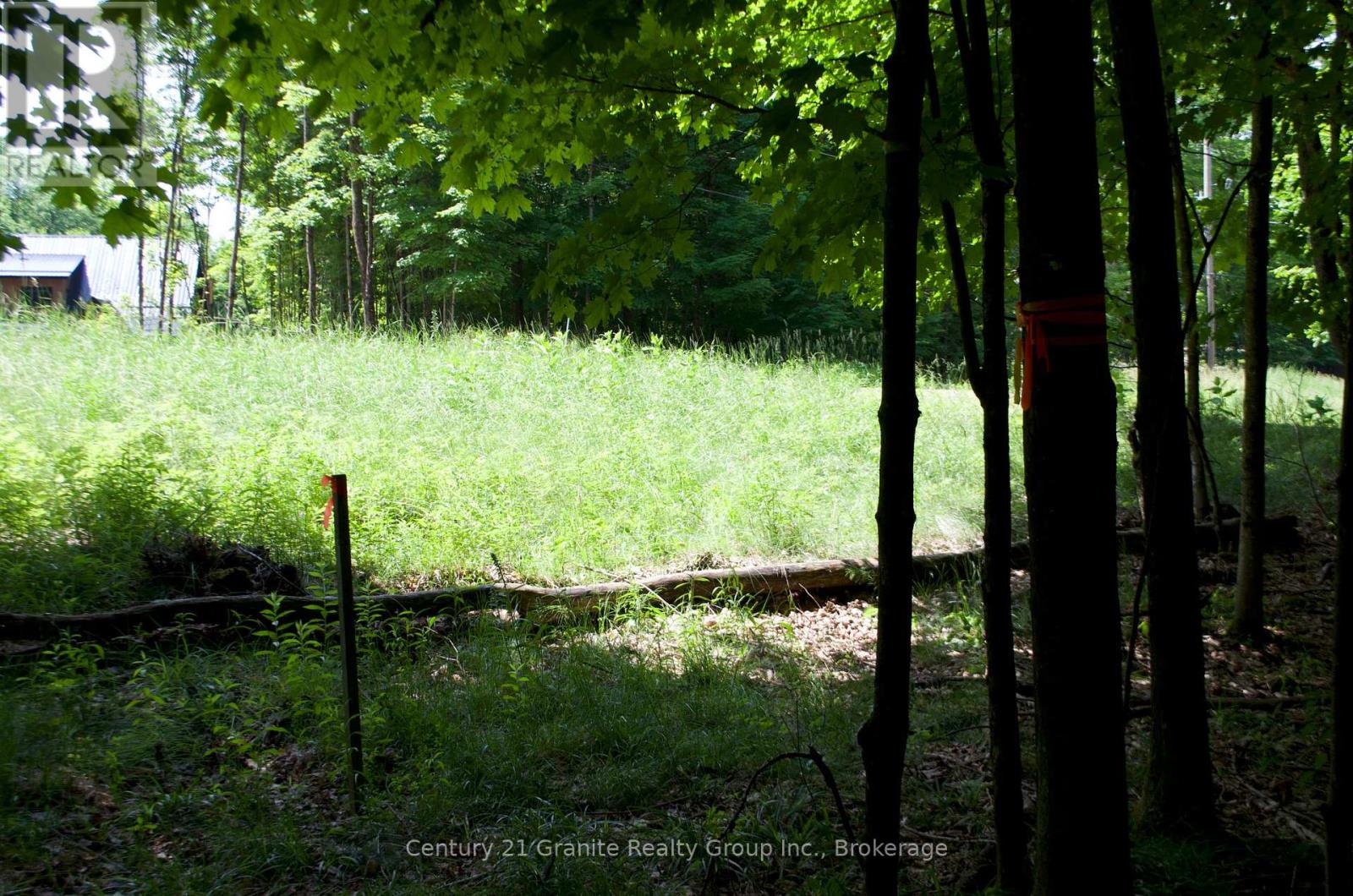 Lot 7 Ridgeview Road, Dysart Et Al, Ontario  K0M 1S0 - Photo 12 - X12241651