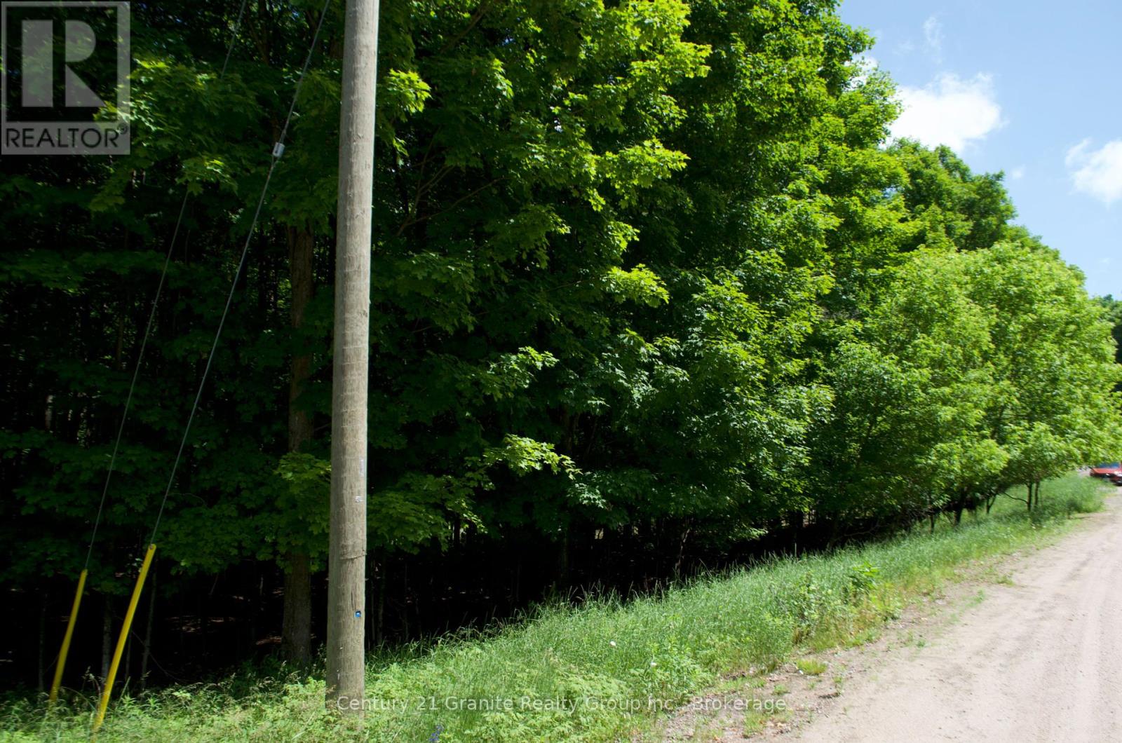 Lot 7 Ridgeview Road, Dysart Et Al, Ontario  K0M 1S0 - Photo 13 - X12241651