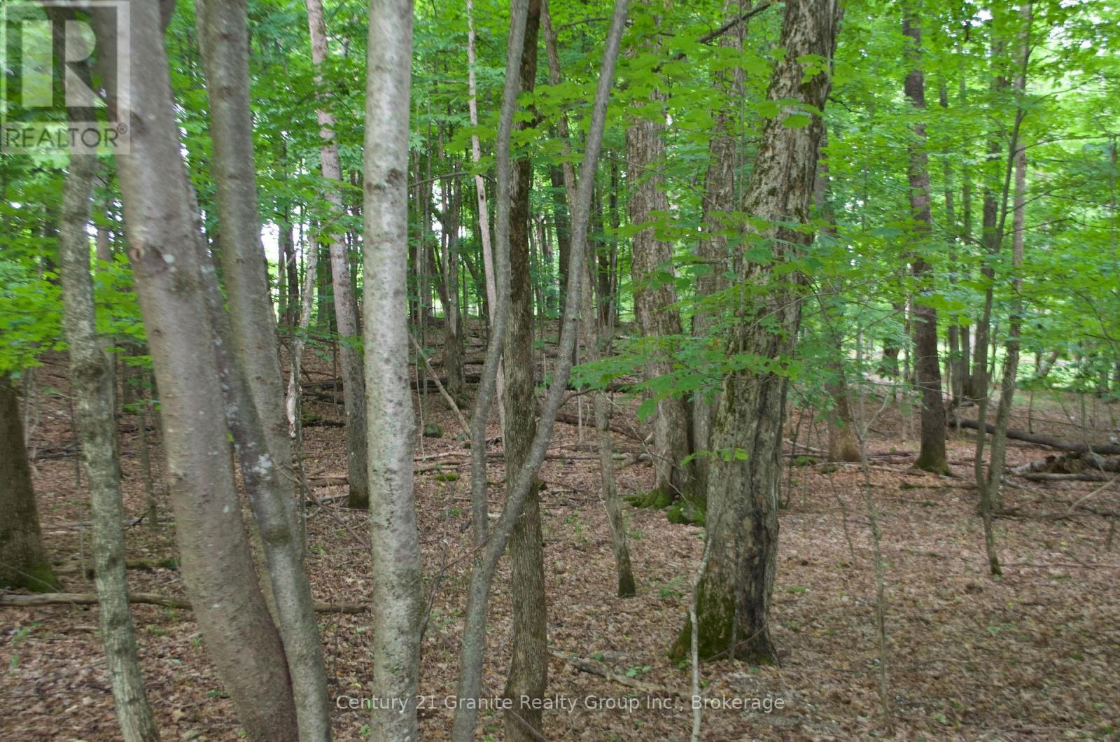 Lot 7 Ridgeview Road, Dysart Et Al, Ontario  K0M 1S0 - Photo 2 - X12241651