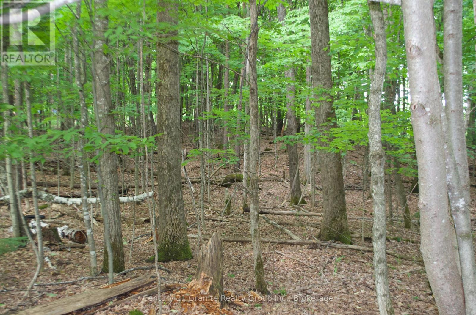 Lot 7 Ridgeview Road, Dysart Et Al, Ontario  K0M 1S0 - Photo 3 - X12241651