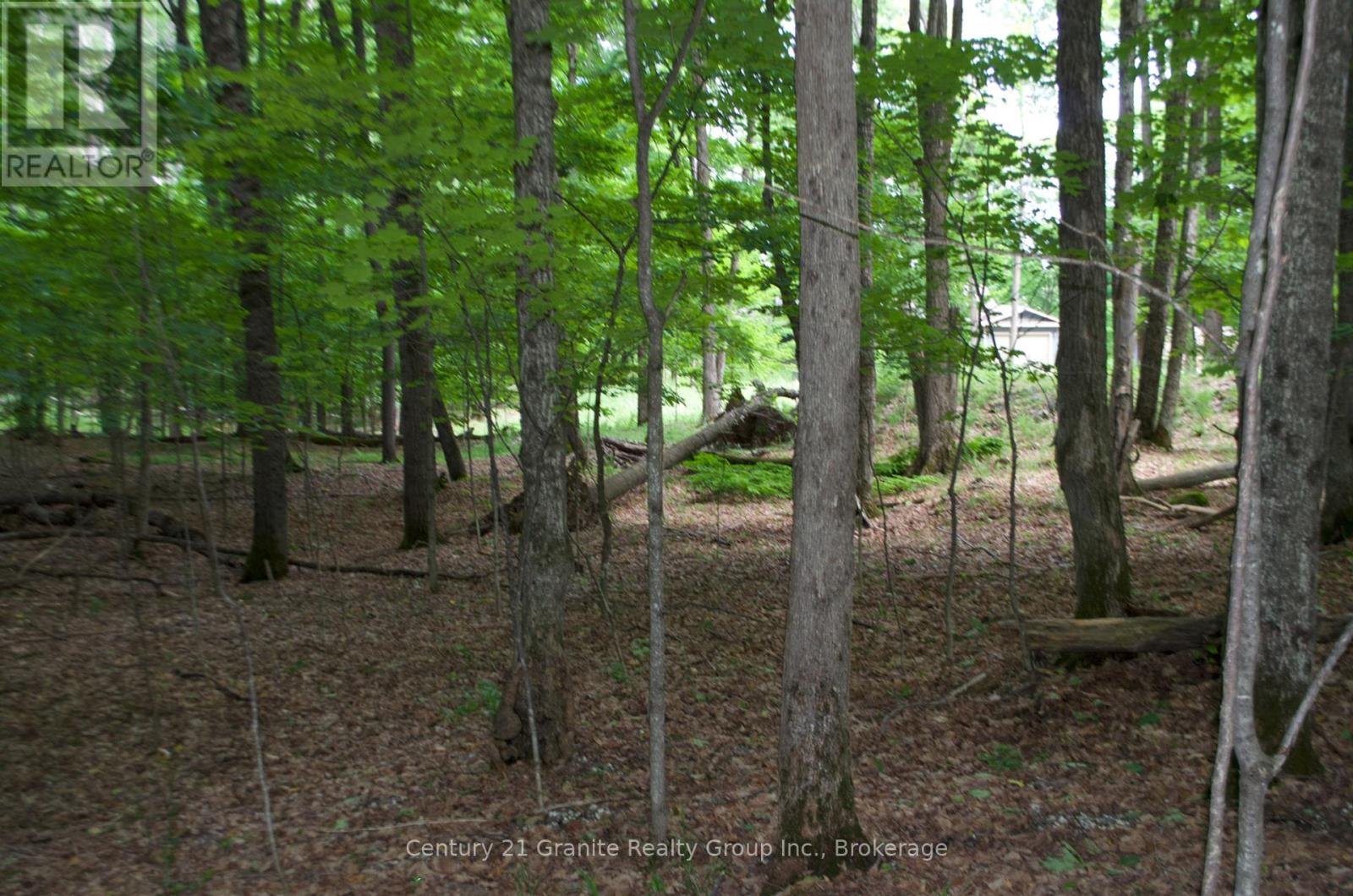 Lot 7 Ridgeview Road, Dysart Et Al, Ontario  K0M 1S0 - Photo 4 - X12241651