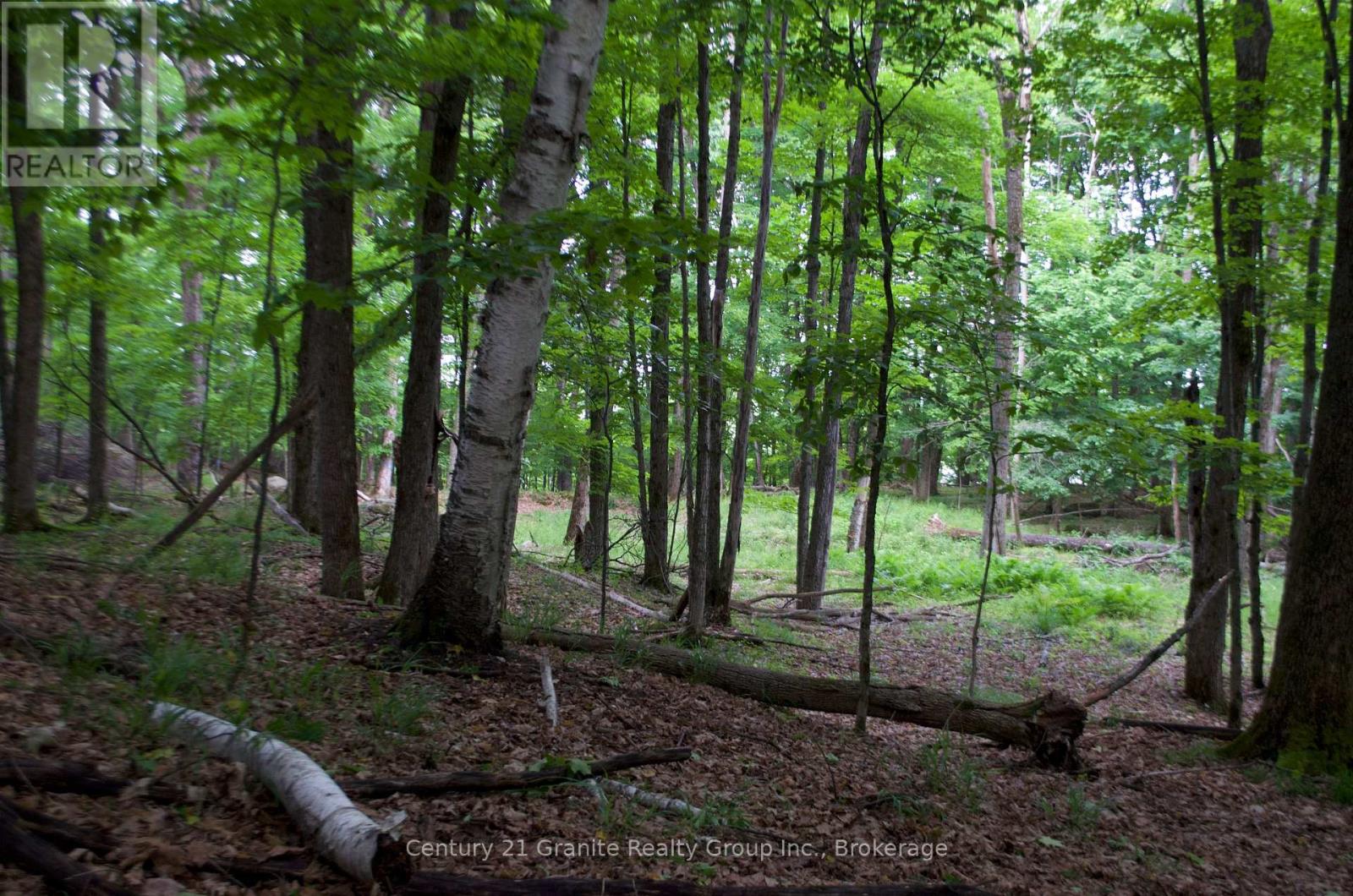 Lot 7 Ridgeview Road, Dysart Et Al, Ontario  K0M 1S0 - Photo 5 - X12241651