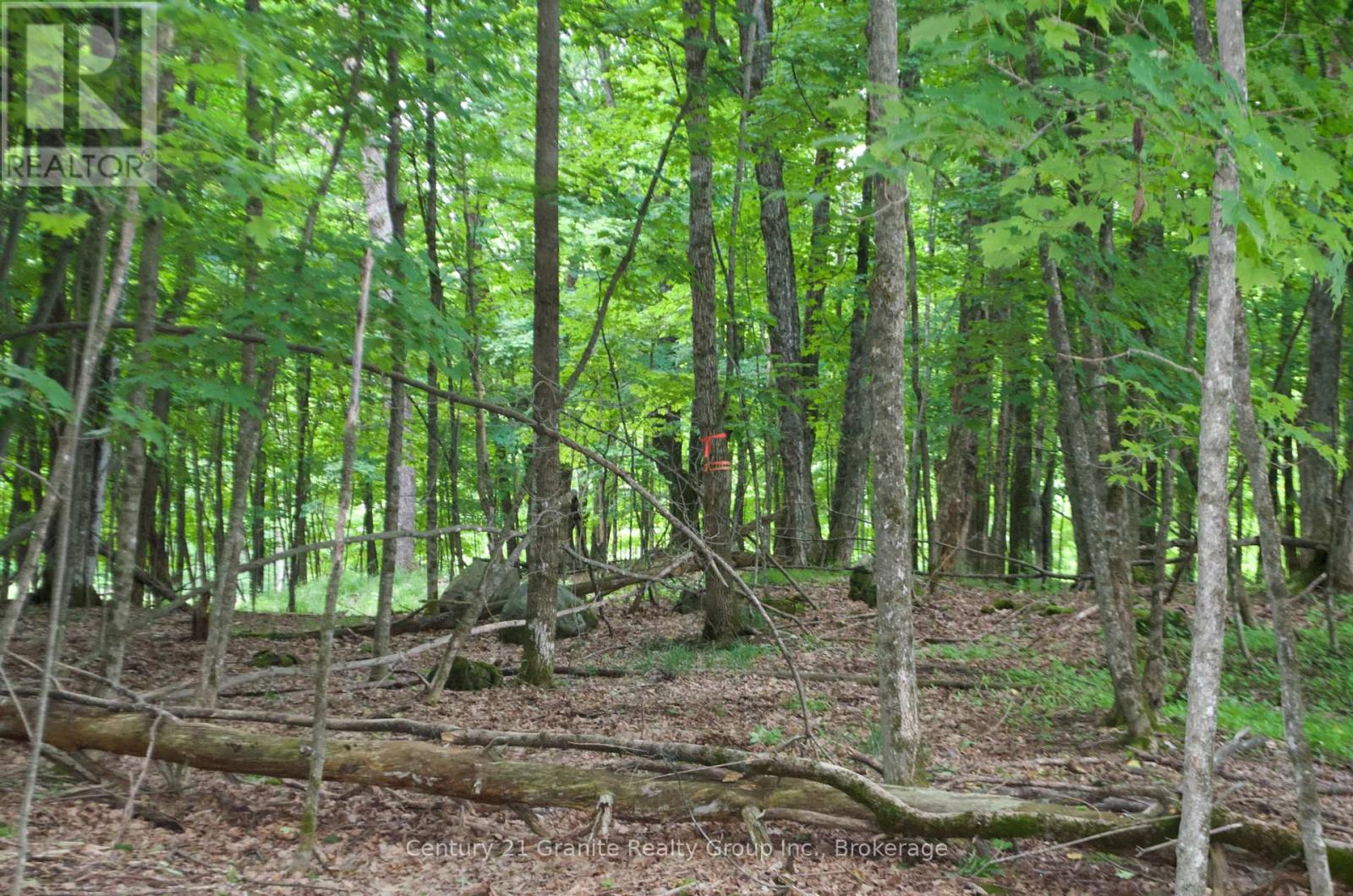 Lot 7 Ridgeview Road, Dysart Et Al, Ontario  K0M 1S0 - Photo 6 - X12241651