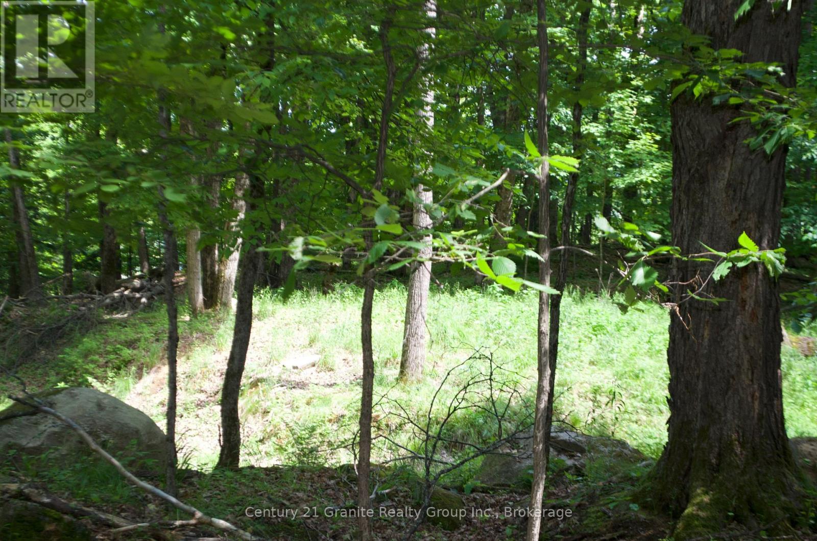 Lot 7 Ridgeview Road, Dysart Et Al, Ontario  K0M 1S0 - Photo 7 - X12241651