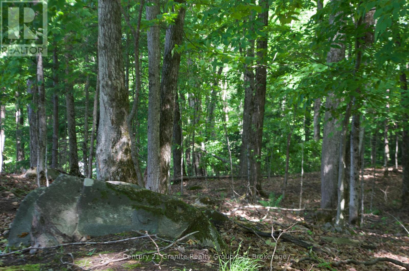 Lot 7 Ridgeview Road, Dysart Et Al, Ontario  K0M 1S0 - Photo 8 - X12241651