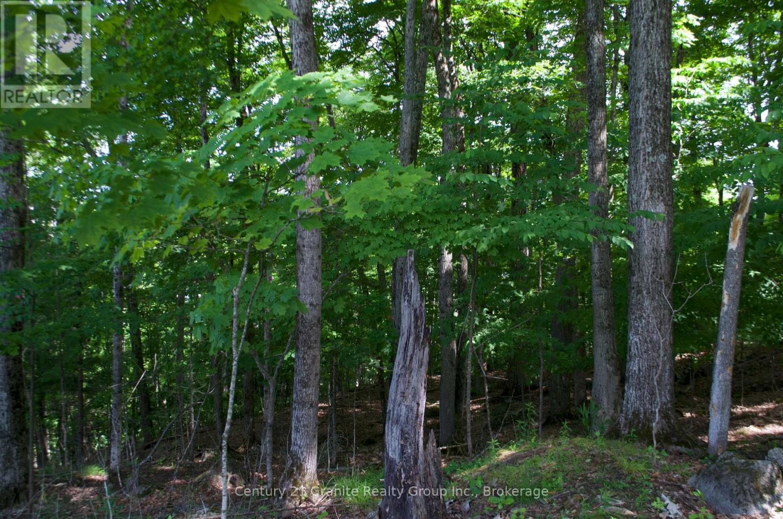 Lot 7 Ridgeview Road, Dysart Et Al, Ontario  K0M 1S0 - Photo 9 - X12241651