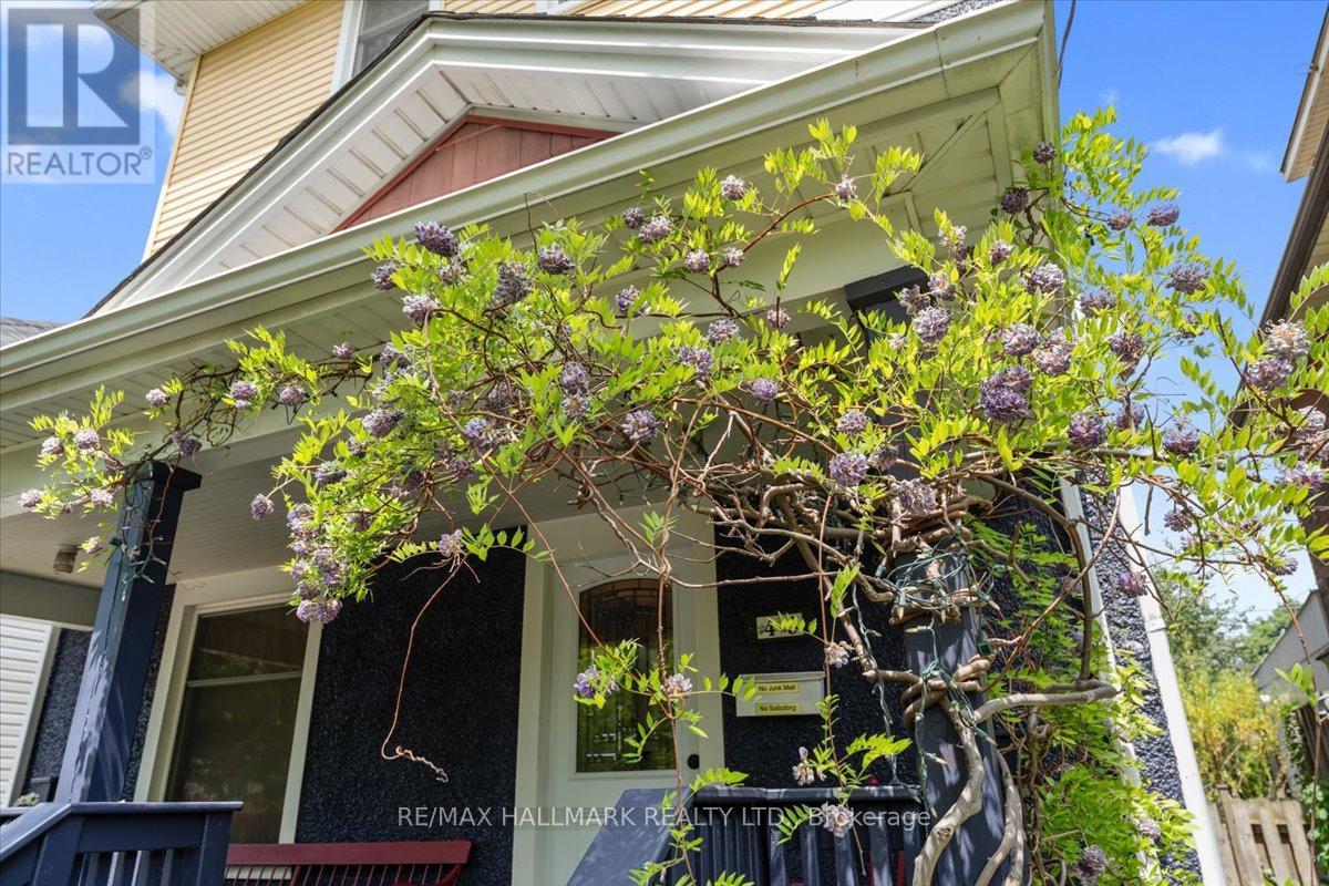 Property at 43 ALBERT STREET image 5