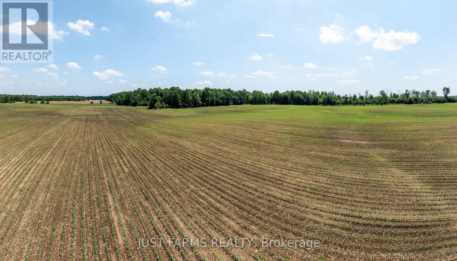 0 Hyndman Drive, Southwest Middlesex, Ontario  N0L 1T0 - Photo 8 - X12241763