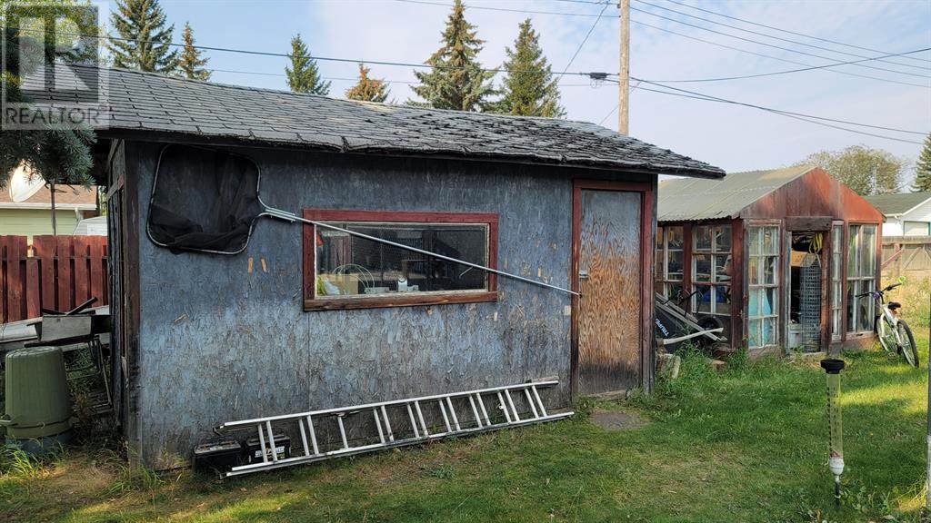 5410 45 Street, Castor, Alberta  T0C 0X0 - Photo 32 - A2233698