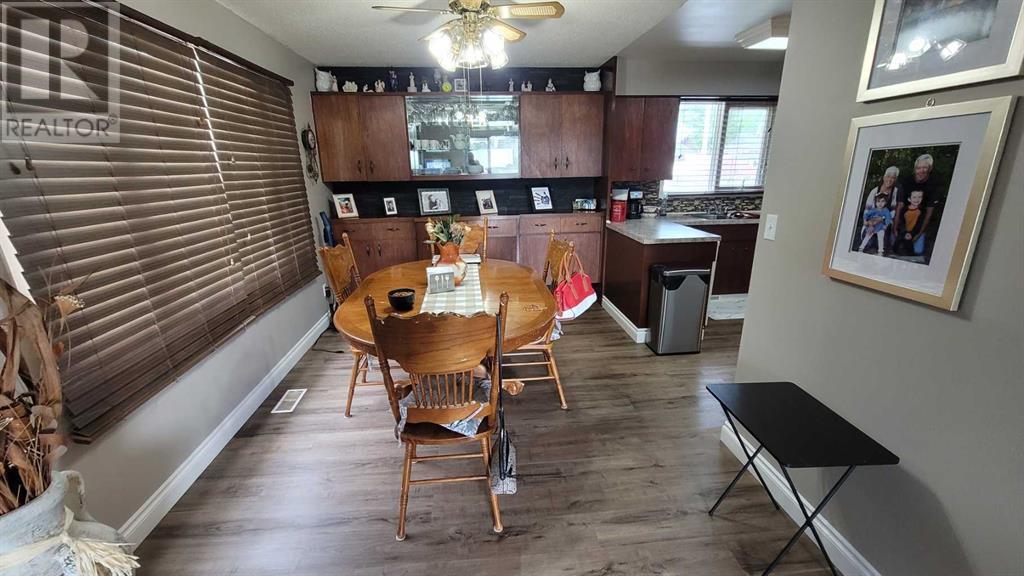 5410 45 Street, Castor, Alberta  T0C 0X0 - Photo 6 - A2233698