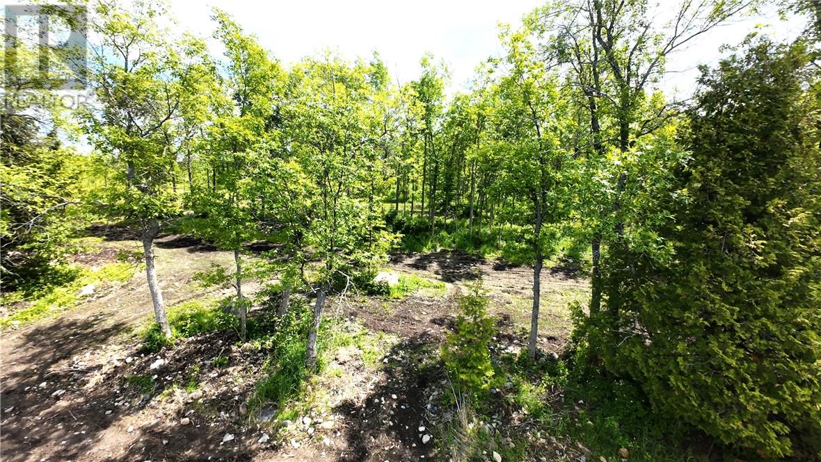 Part 1 N'gokan Milkan Road, Sheguiandah, Ontario  P0P 1W0 - Photo 4 - 2123048