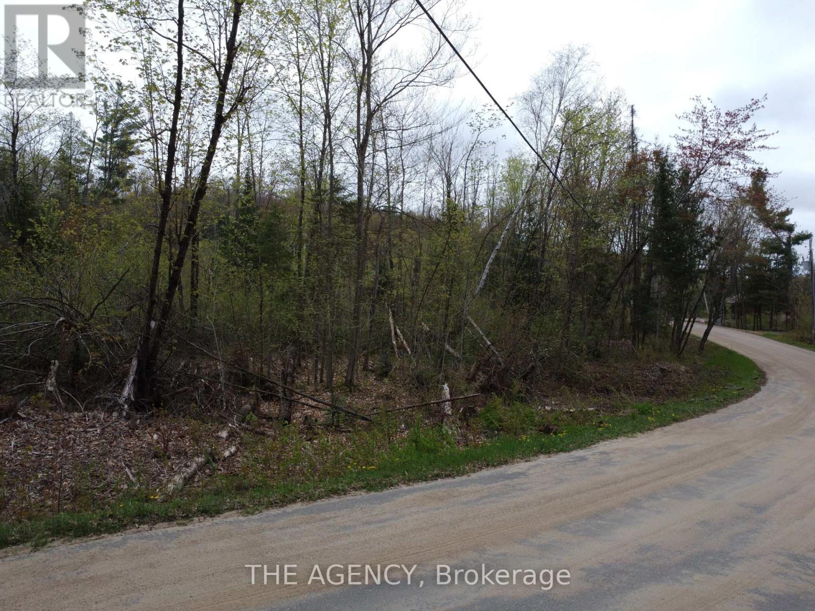 Pcl 21380 Walker Lake Drive E, Lake Of Bays, Ontario  P1H 2J6 - Photo 7 - X12241715