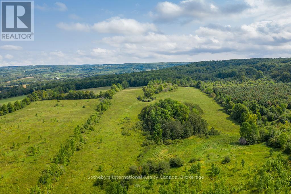 415763 10th Line, Blue Mountains, Ontario  N0H 1J0 - Photo 41 - X12242039