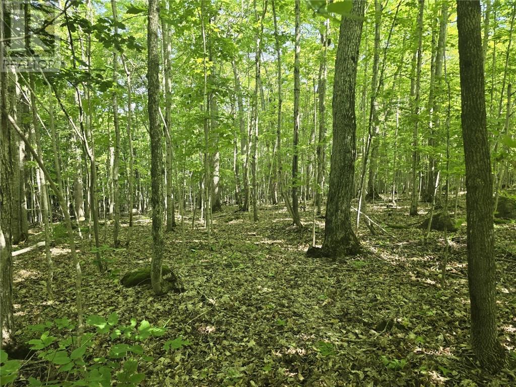 N/a Franks Rd, Sandfield, Ontario  P0P 1S0 - Photo 5 - 2123132