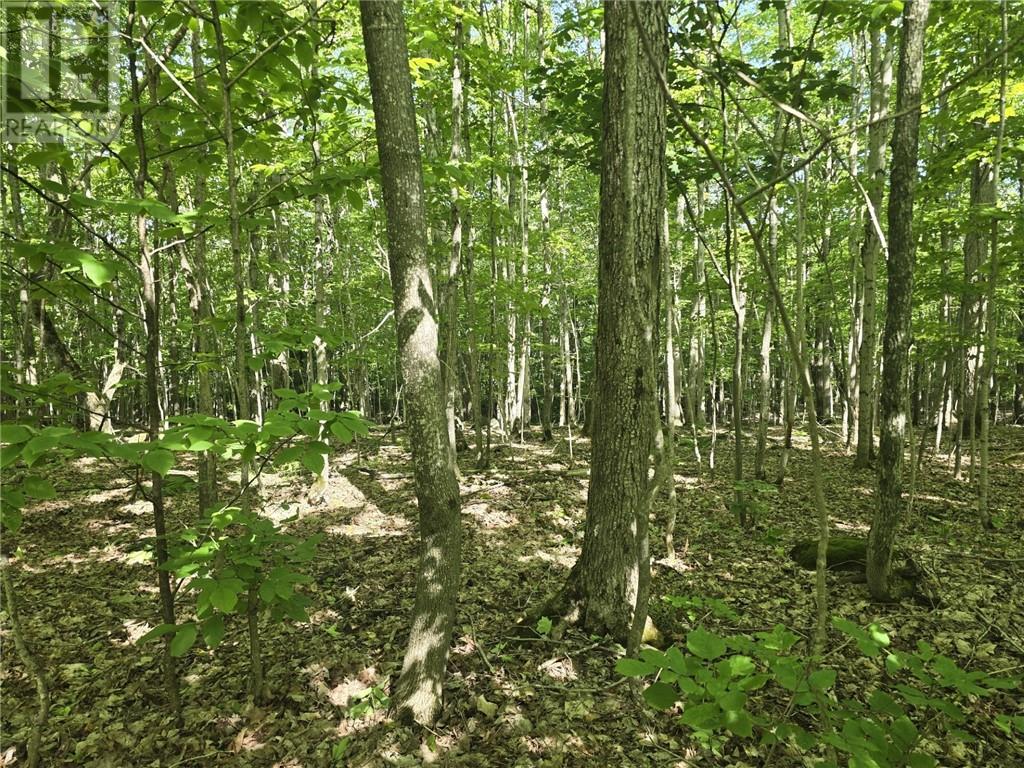 N/a Franks Rd, Sandfield, Ontario  P0P 1S0 - Photo 6 - 2123132