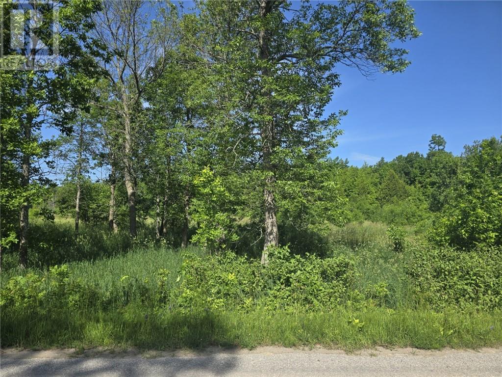 N/a Franks Rd, Sandfield, Ontario  P0P 1S0 - Photo 7 - 2123132
