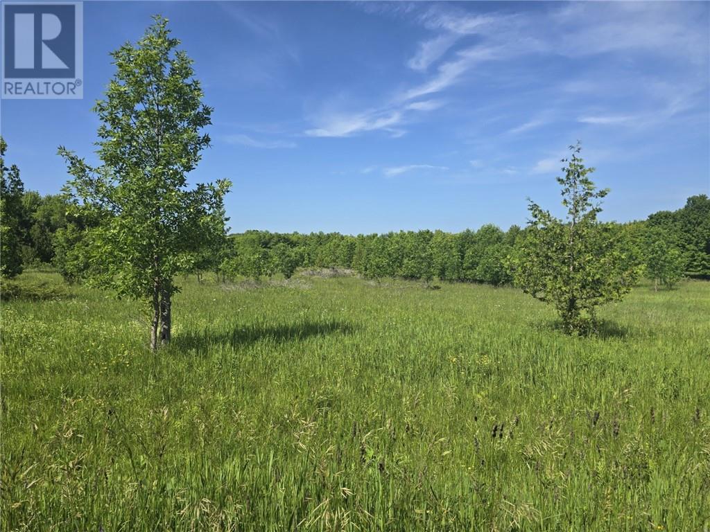 N/a Franks Rd, Sandfield, Ontario  P0P 1S0 - Photo 8 - 2123132