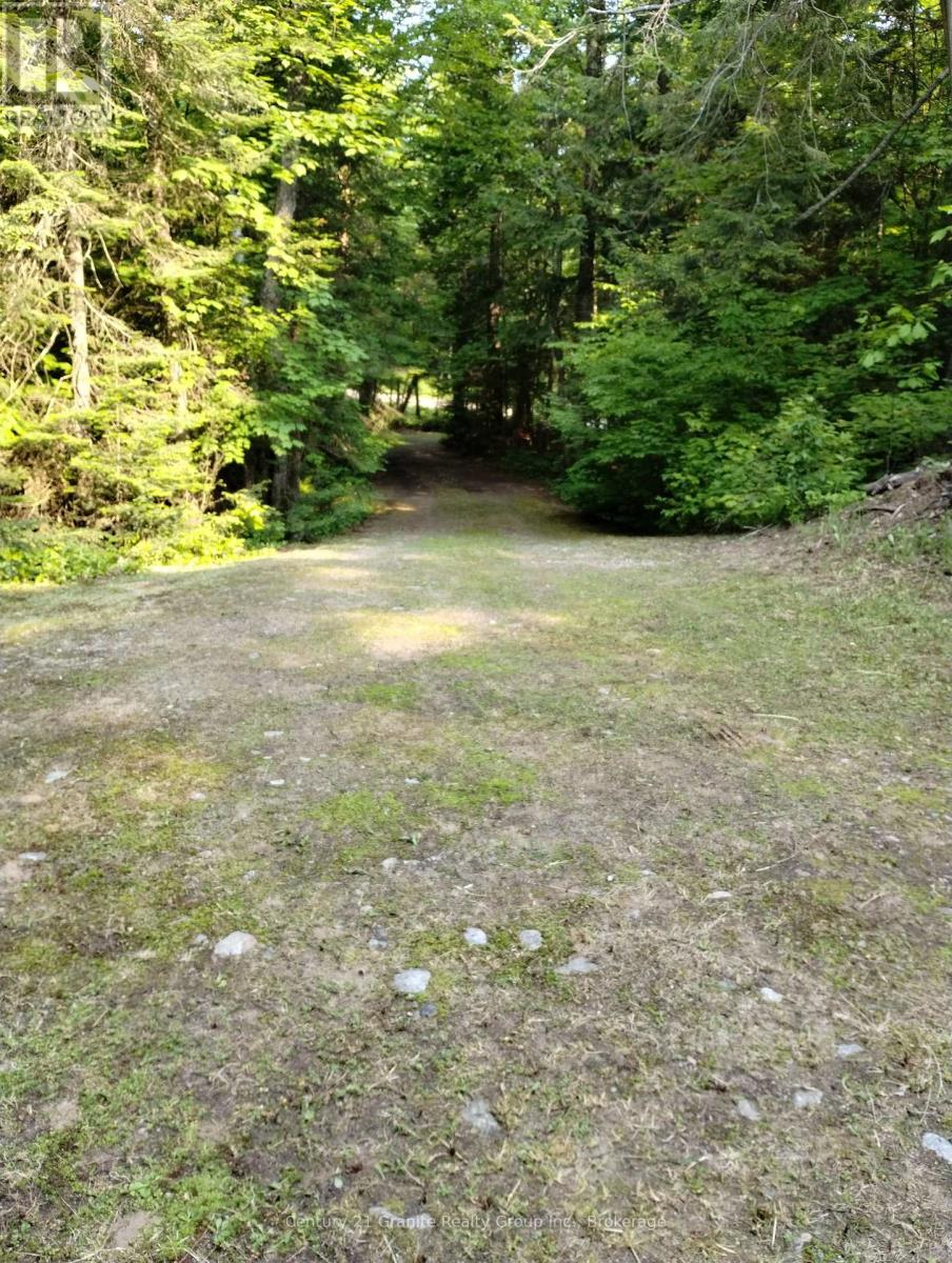 Lot 10 Loon Lake Road S, Dysart Et Al (Dysart), Ontario  K0M 1S0 - Photo 15 - X12242189