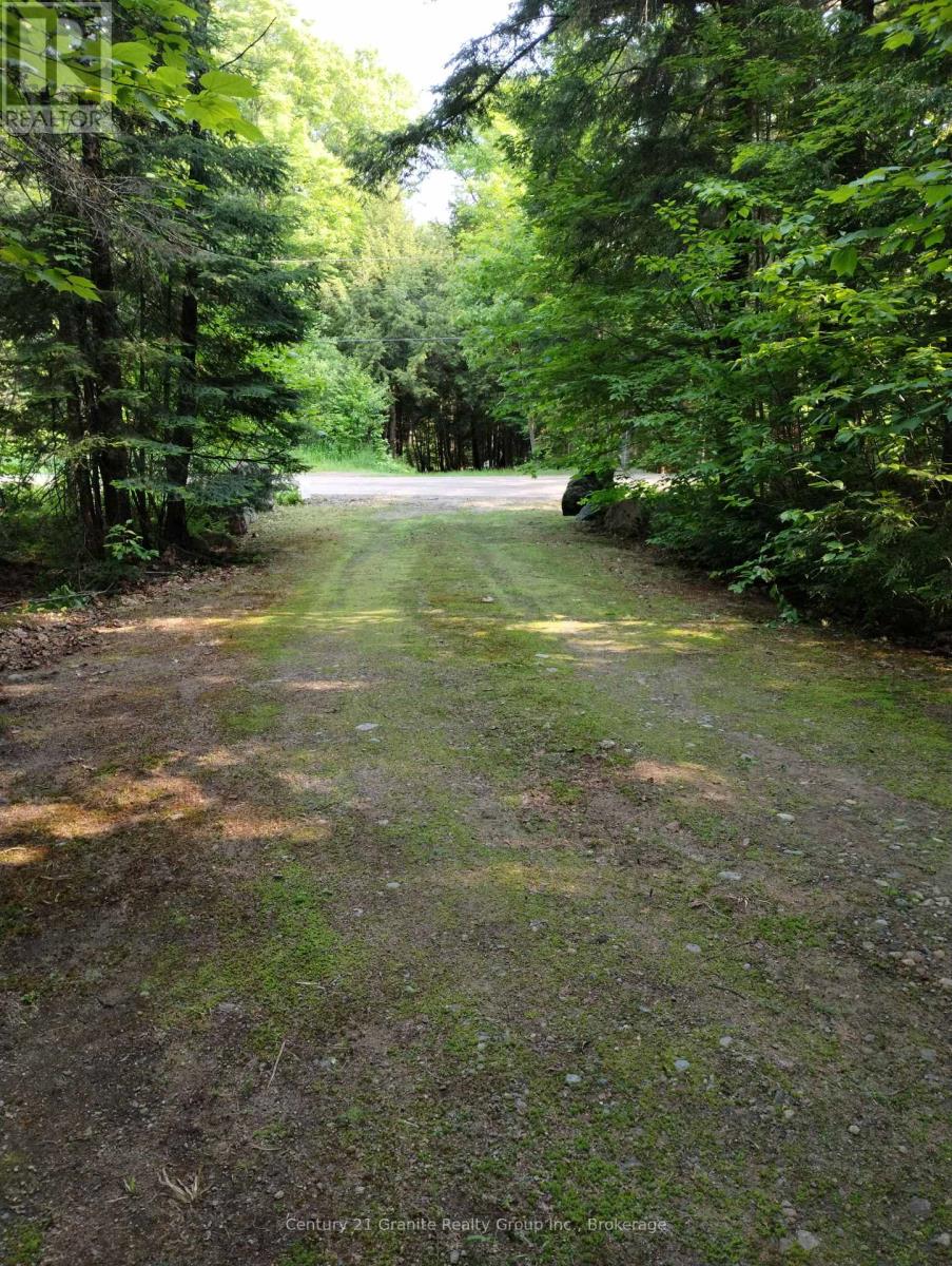 Lot 10 Loon Lake Road S, Dysart Et Al (Dysart), Ontario  K0M 1S0 - Photo 17 - X12242189