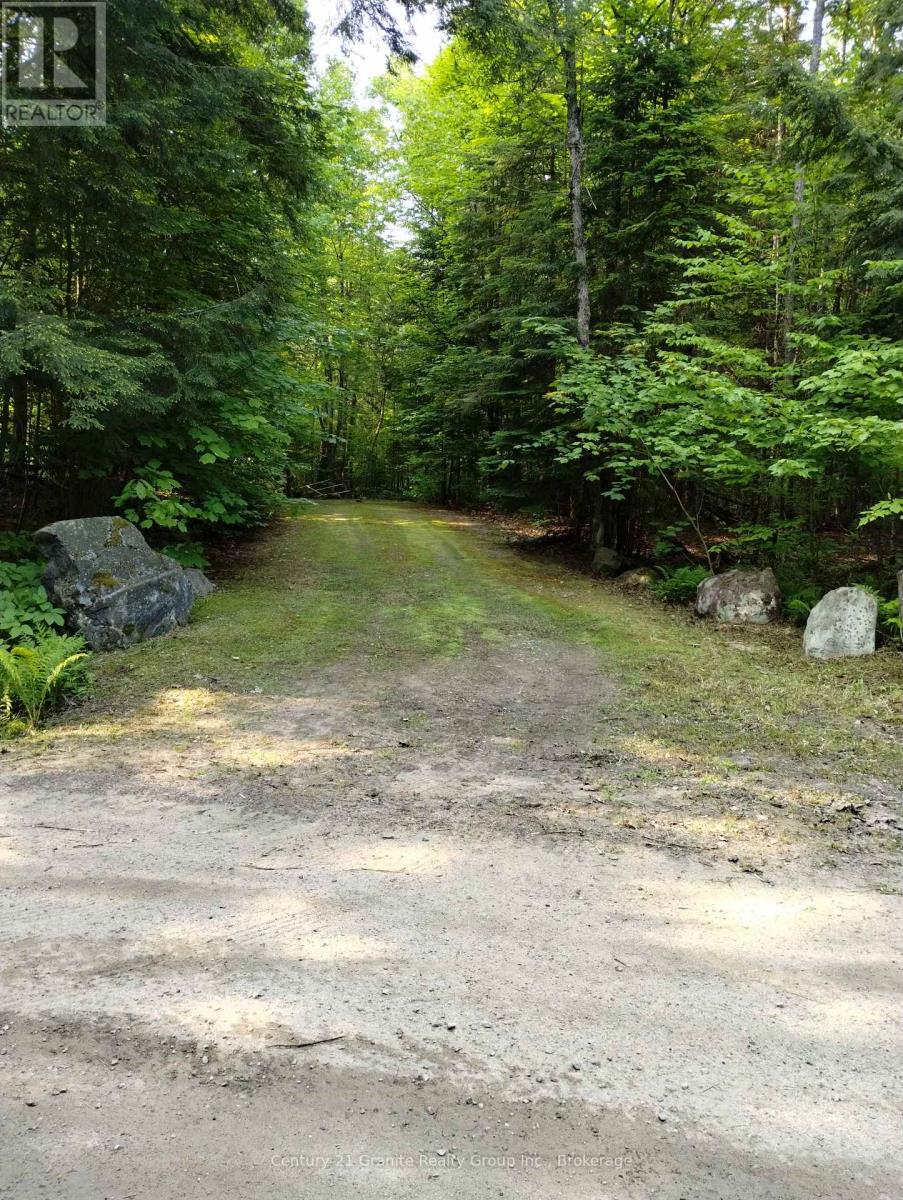 Lot 10 Loon Lake Road S, Dysart Et Al (Dysart), Ontario  K0M 1S0 - Photo 18 - X12242189