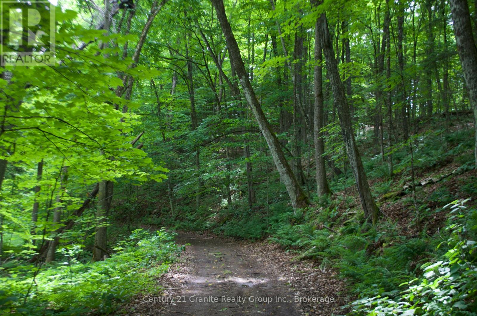 Lot 10 Loon Lake Road S, Dysart Et Al (Dysart), Ontario  K0M 1S0 - Photo 3 - X12242189