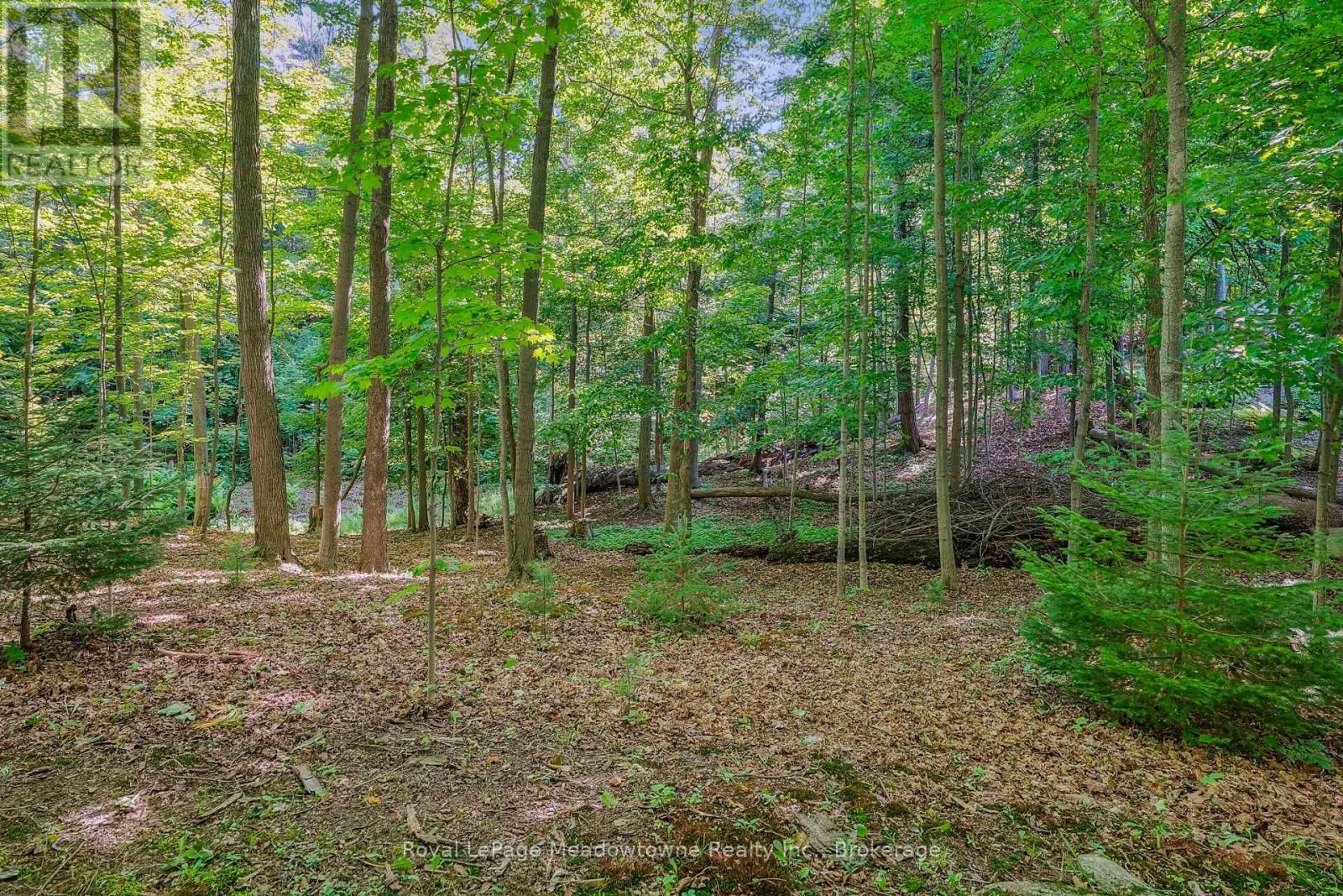 9878 15 Side Road, Halton Hills, Ontario  L9T 2X9 - Photo 39 - W12242203