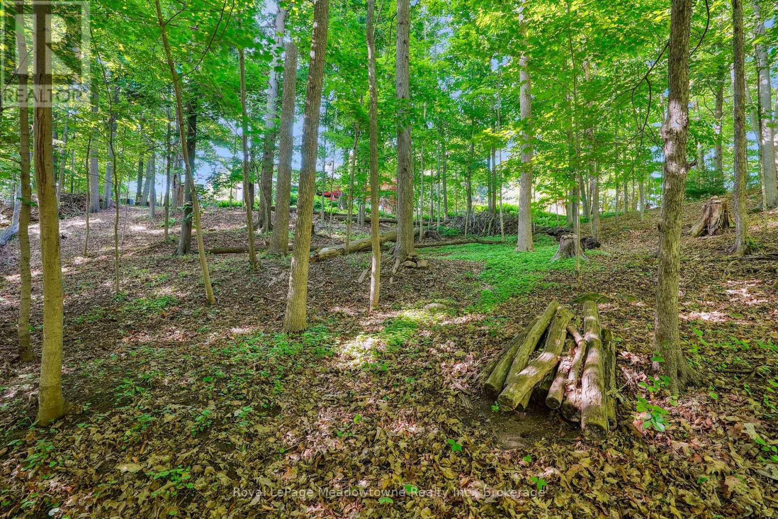 9878 15 Side Road, Halton Hills, Ontario  L9T 2X9 - Photo 41 - W12242203