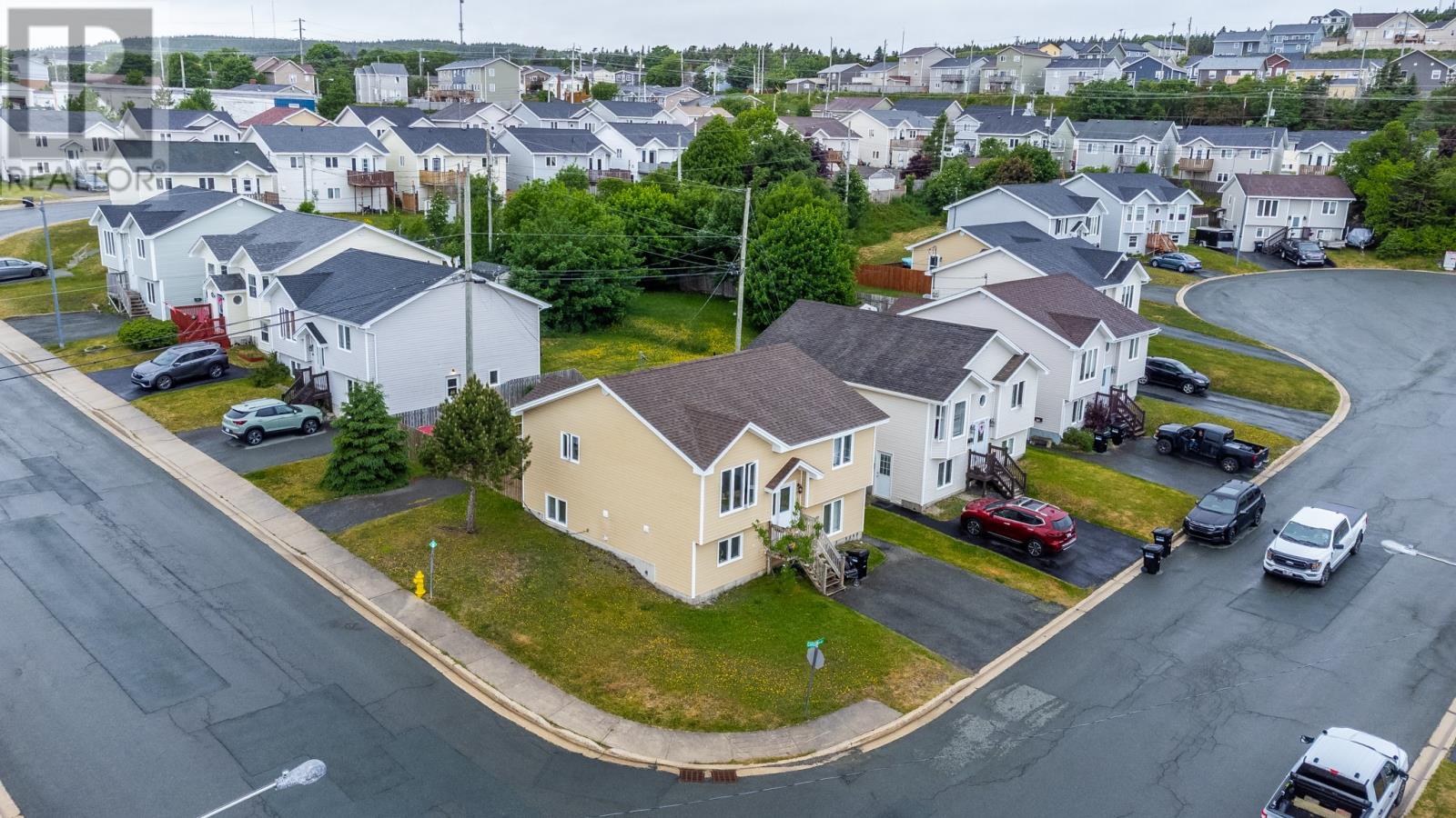 Property at 16 Carlow Place image 4