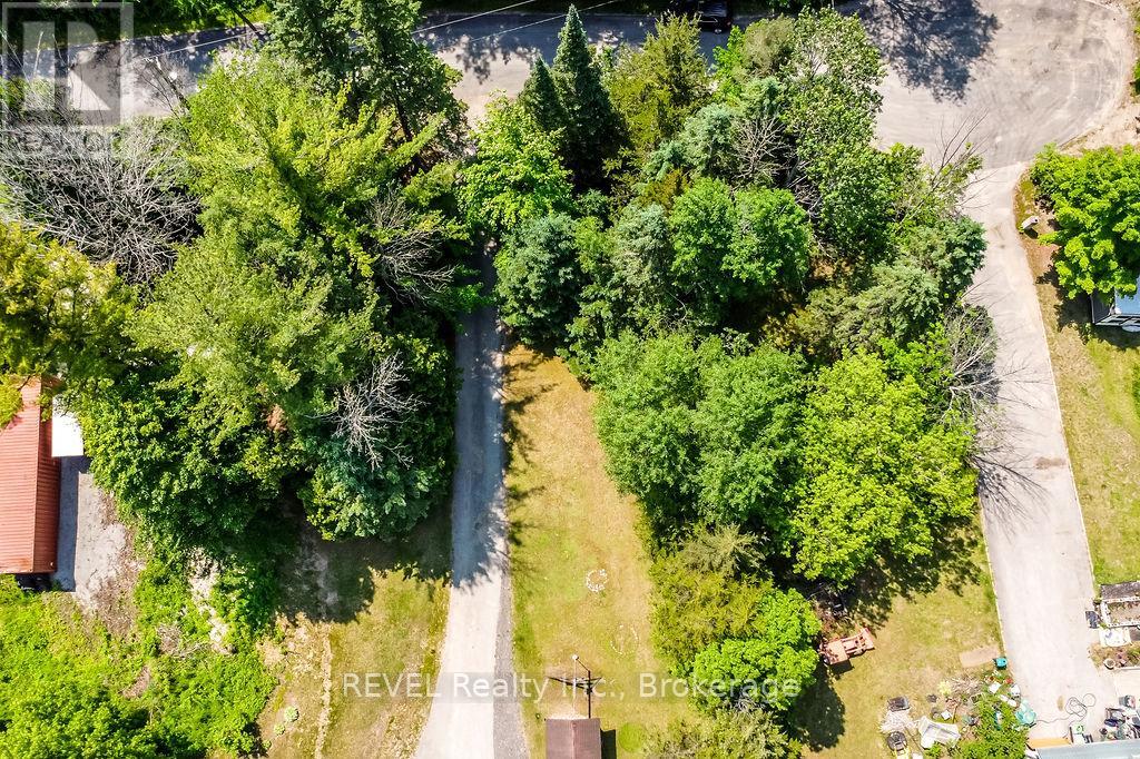 31 Pine River Road, Essa, Ontario  L0M 1B2 - Photo 2 - N12242482