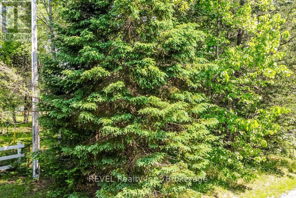 31 Pine River Road, Essa, Ontario  L0M 1B2 - Photo 7 - N12242482