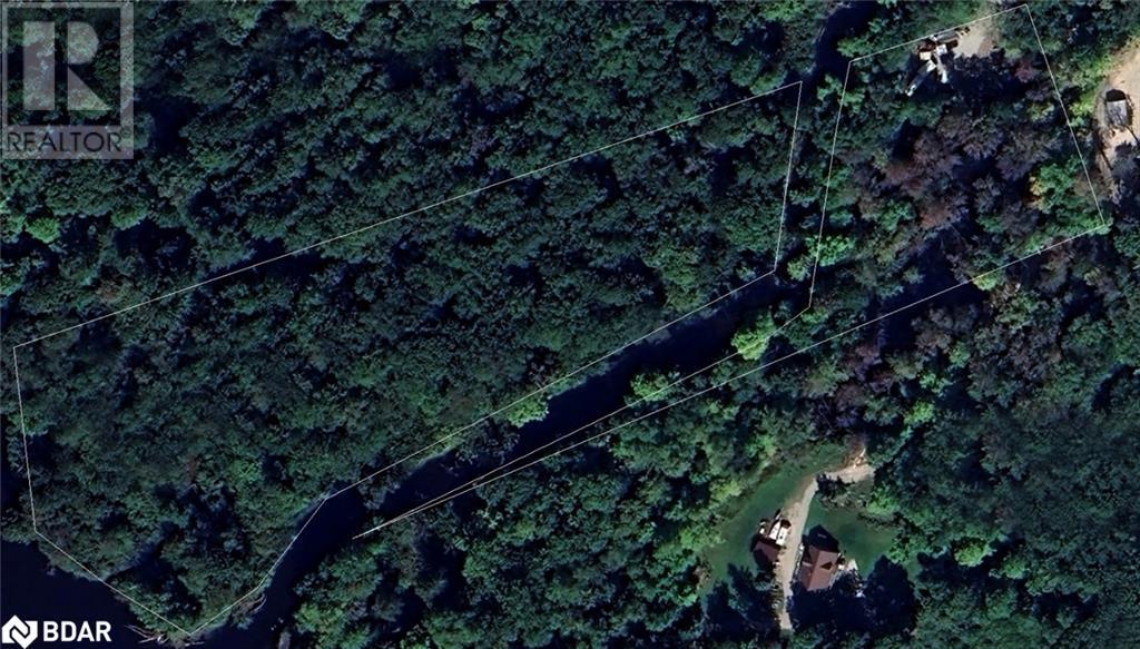 7012 County Road 169, Ramara, Ontario  L0K 2B0 - Photo 10 - 40744761