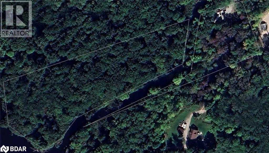 7012 County Road 169, Ramara, Ontario  L0K 2B0 - Photo 8 - 40744761