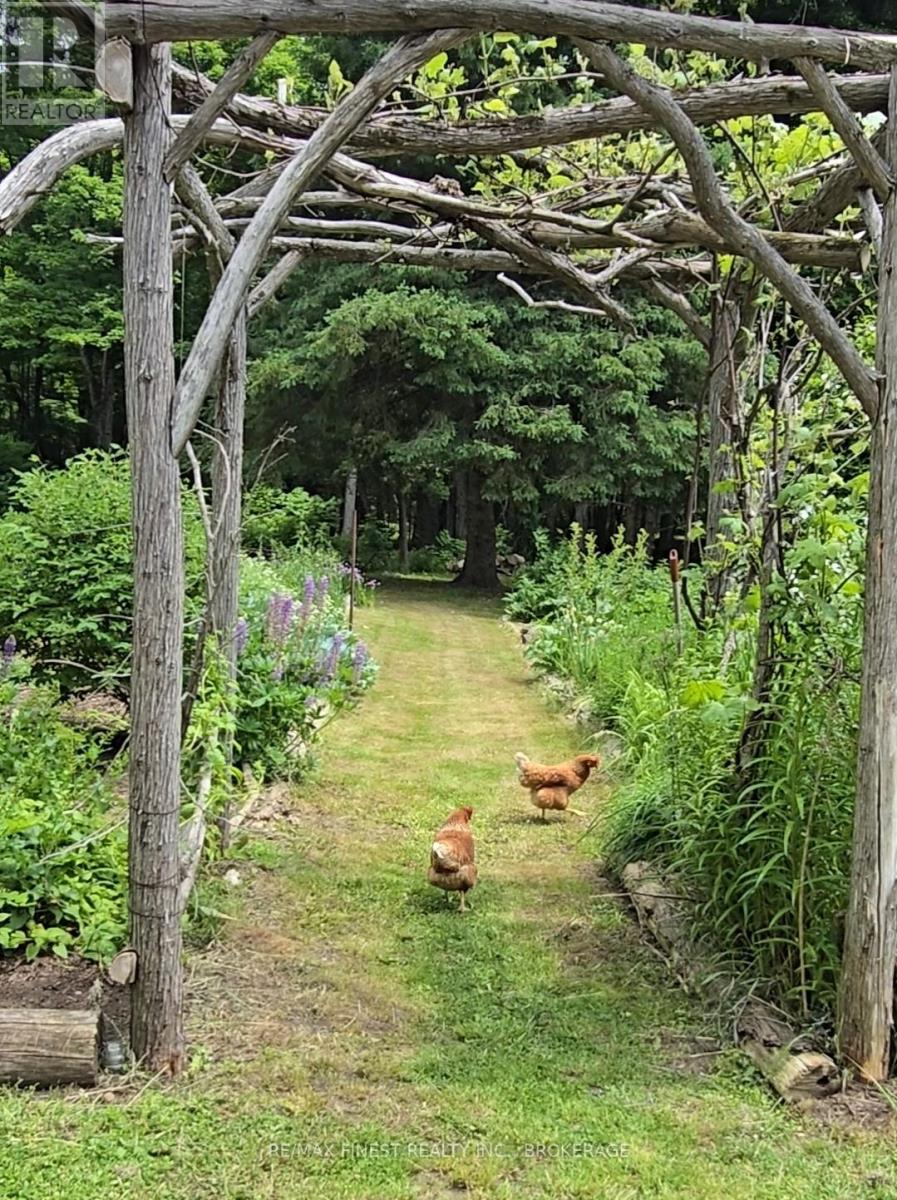 1534 Ardoch Road, Frontenac, Ontario  K0H 1J0 - Photo 25 - X12242621