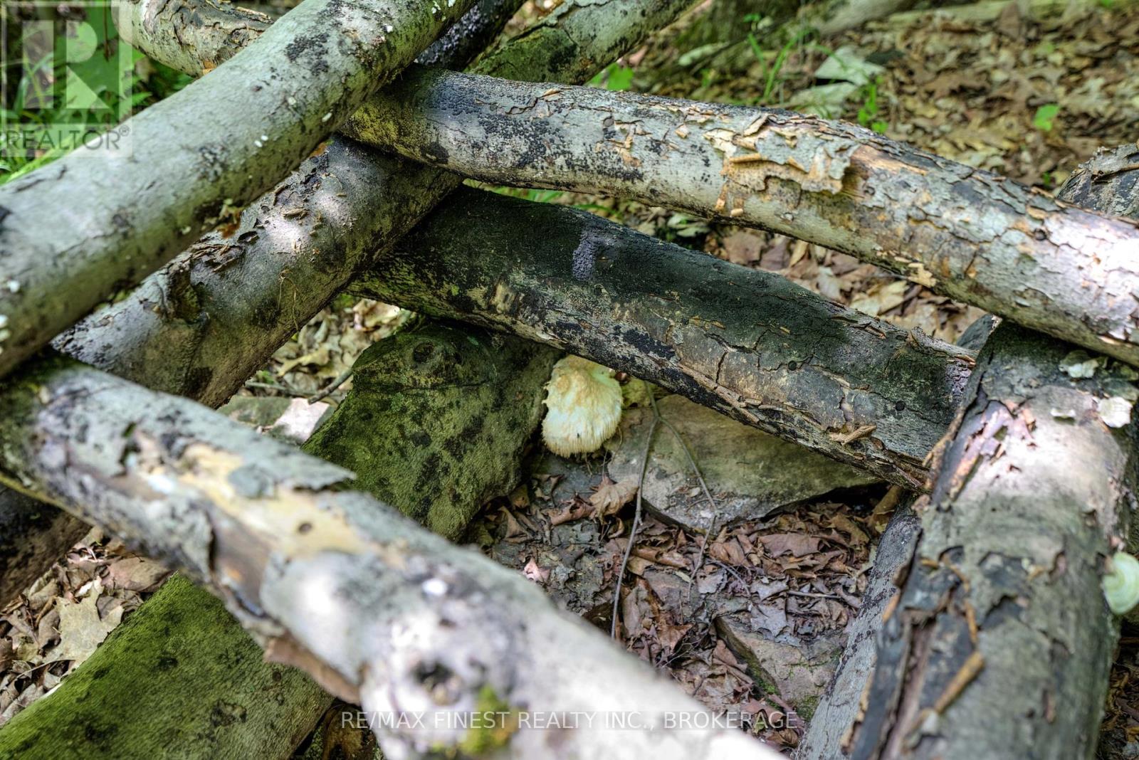 1534 Ardoch Road, Frontenac, Ontario  K0H 1J0 - Photo 27 - X12242621