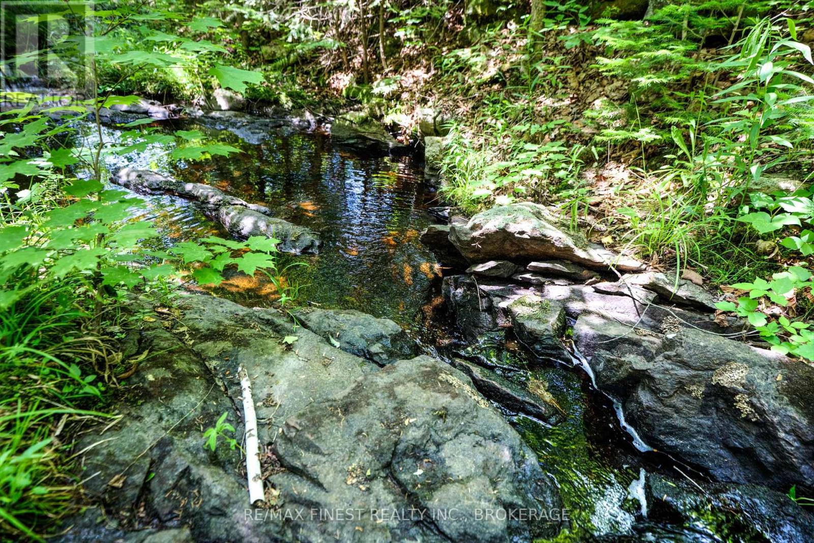 1534 Ardoch Road, Frontenac, Ontario  K0H 1J0 - Photo 33 - X12242621