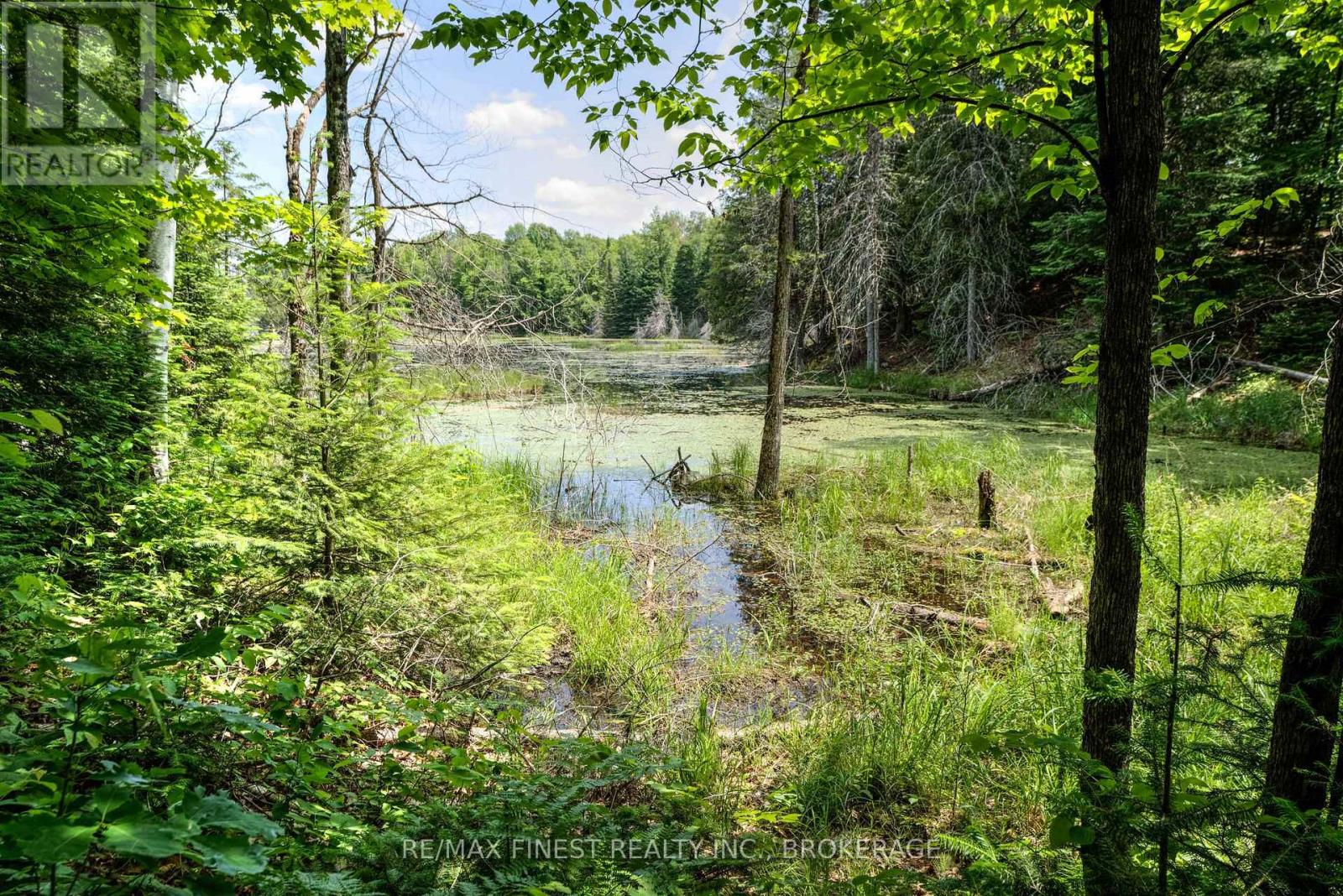 1534 Ardoch Road, Frontenac, Ontario  K0H 1J0 - Photo 32 - X12242621