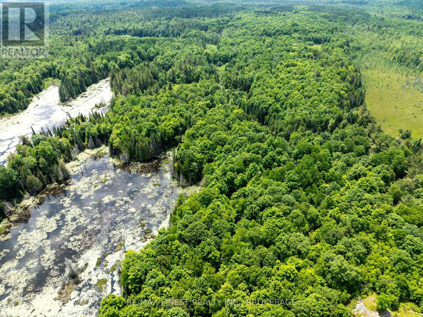 1534 Ardoch Road, Frontenac, Ontario  K0H 1J0 - Photo 39 - X12242621