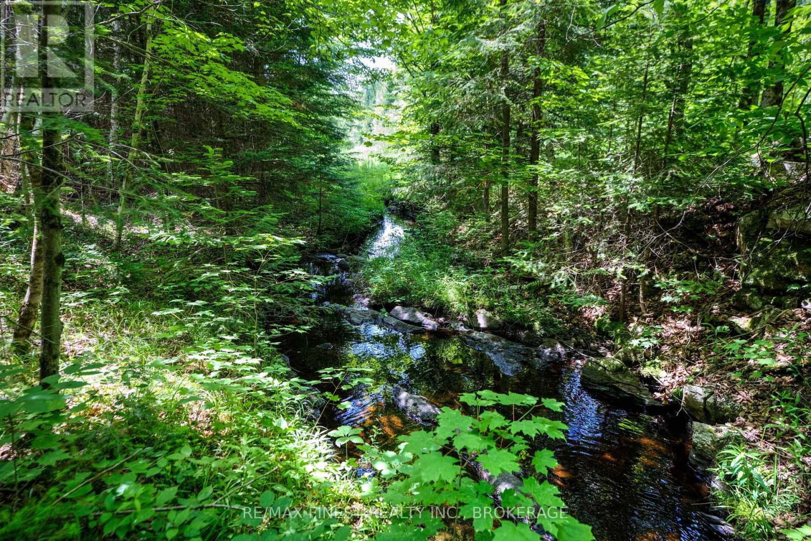 1534 Ardoch Road, Frontenac, Ontario  K0H 1J0 - Photo 28 - X12242621