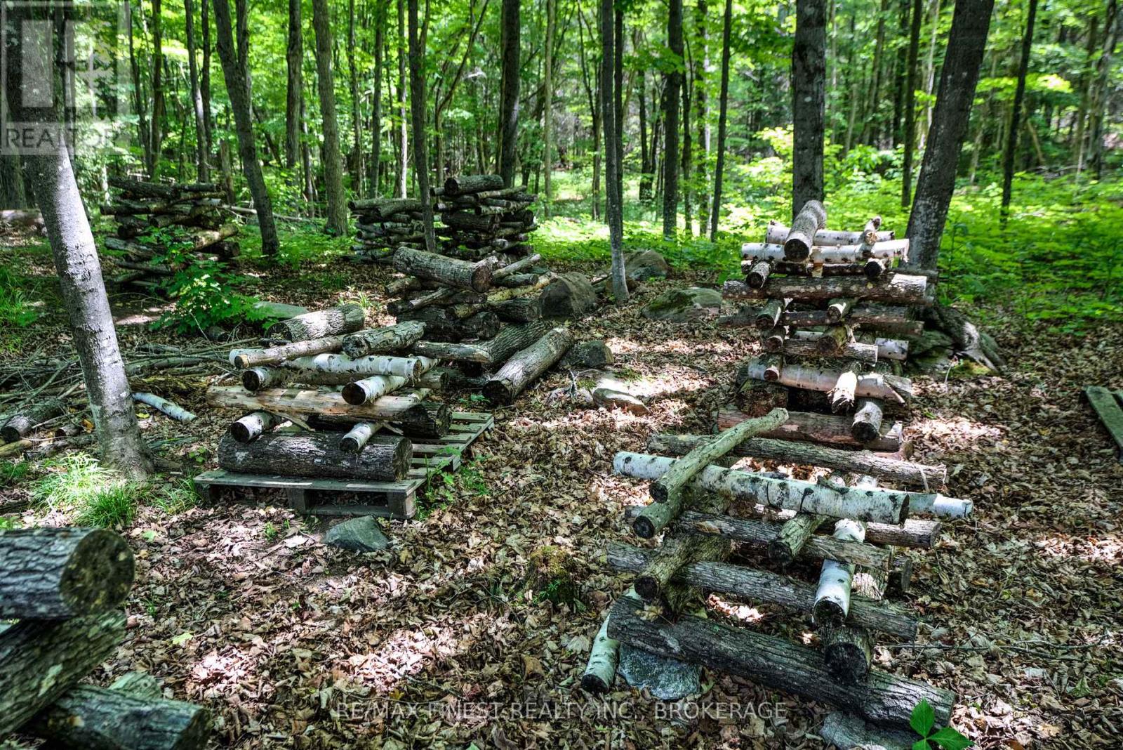 1534 Ardoch Road, Frontenac, Ontario  K0H 1J0 - Photo 3 - X12242621