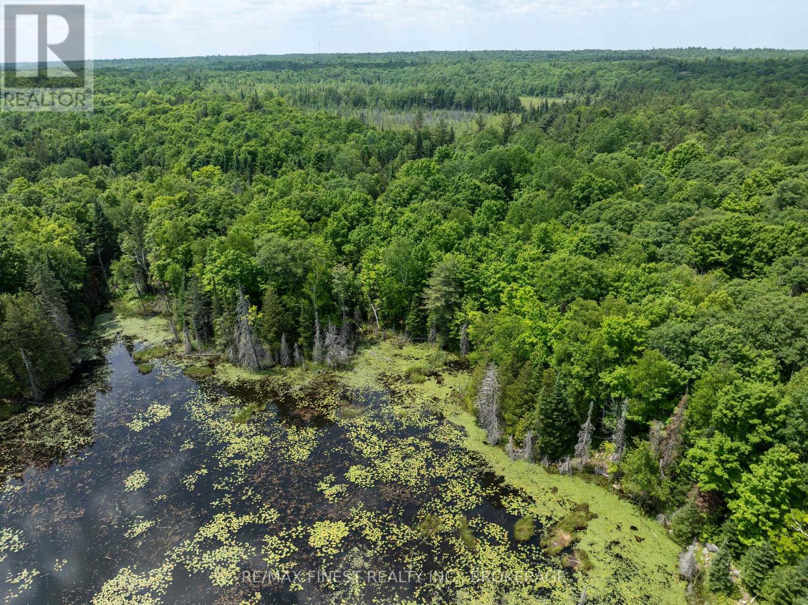 1534 Ardoch Road, Frontenac, Ontario  K0H 1J0 - Photo 30 - X12242621