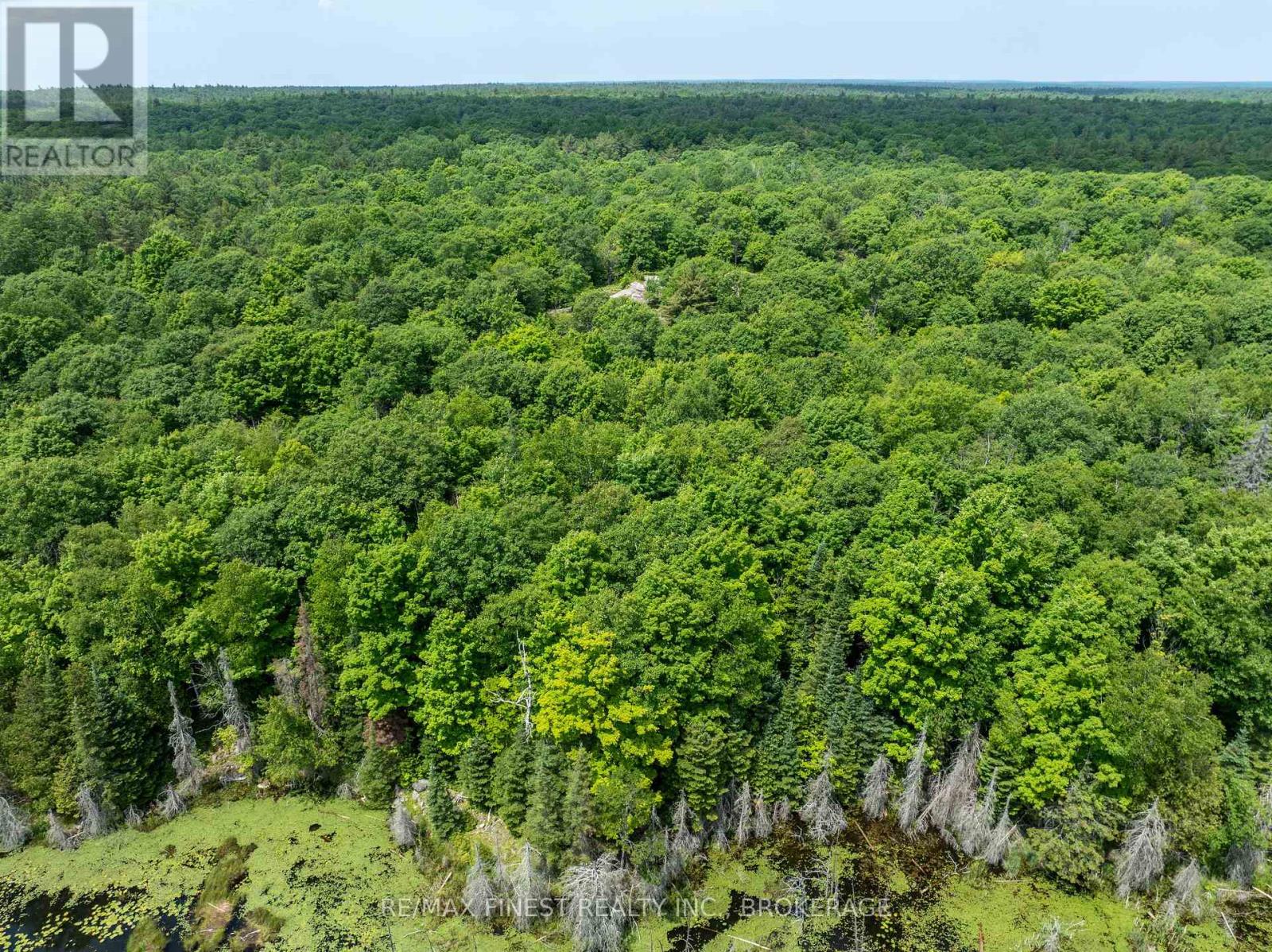 1534 Ardoch Road, Frontenac, Ontario  K0H 1J0 - Photo 31 - X12242621