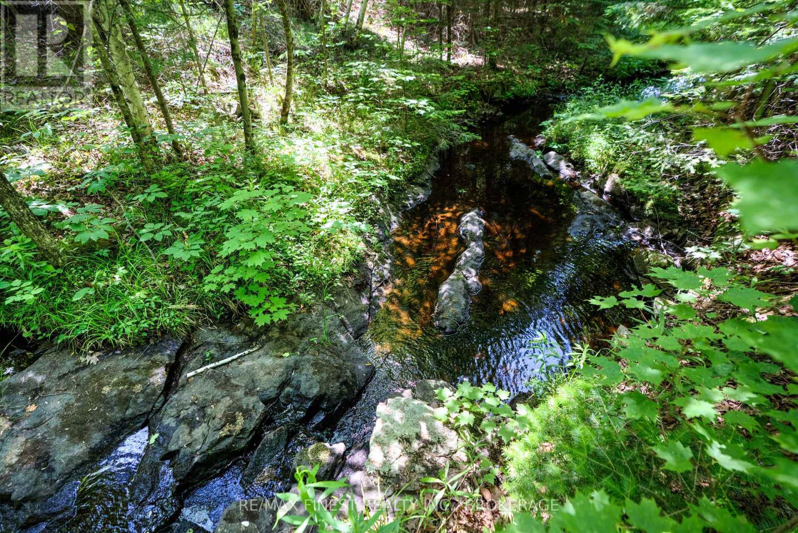 1534 Ardoch Road, Frontenac, Ontario  K0H 1J0 - Photo 40 - X12242621