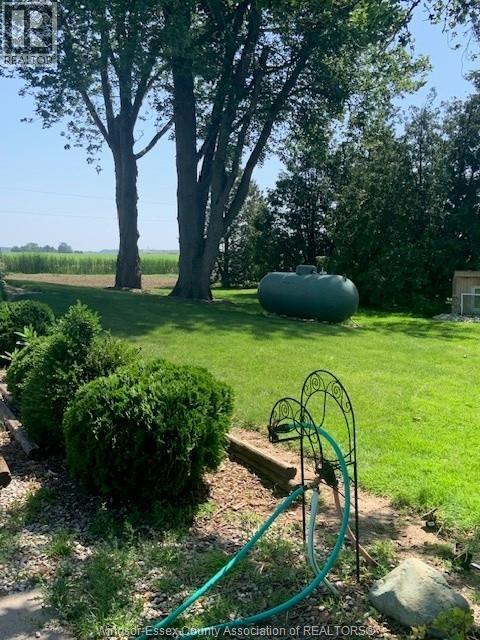 2219 County Road 14, Leamington, Ontario  N0P 2P0 - Photo 18 - 25016005