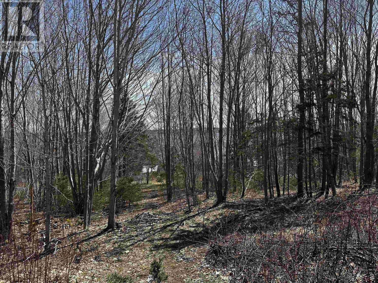 10783 Ns-105 Highway, Aberdeen, Nova Scotia  B0E 3M0 - Photo 36 - 202510077