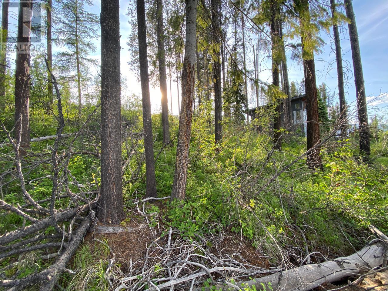 808 Deer Run Drive, Kimberley, British Columbia  V1A 3E9 - Photo 8 - 2471288