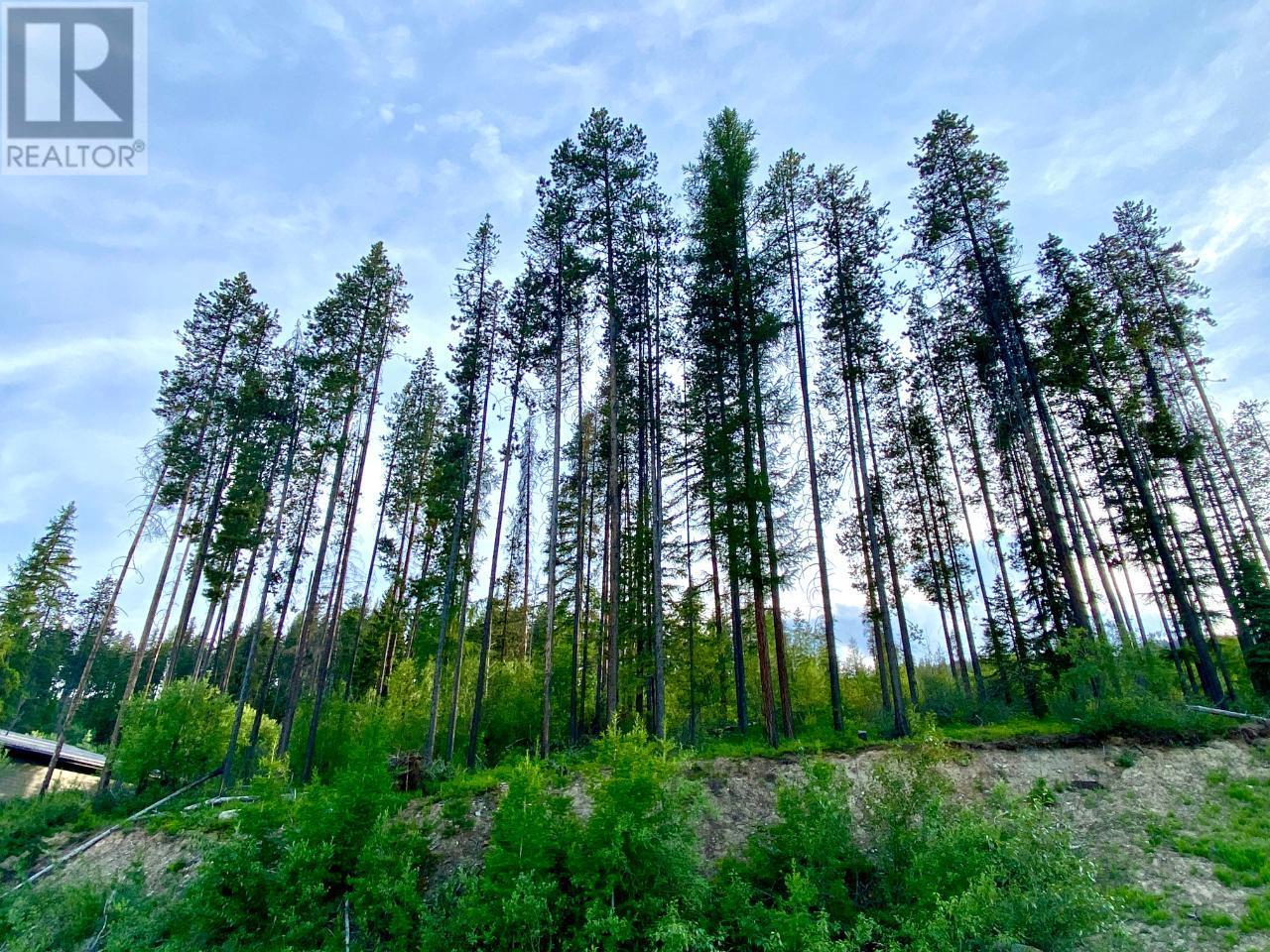 808 Deer Run Drive, Kimberley, British Columbia  V1A 3E9 - Photo 7 - 2471288